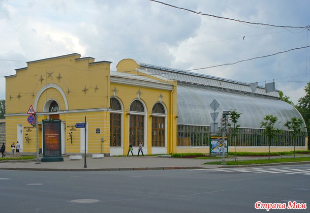 Интересный маршрут вокруг метро «Чернышевская»