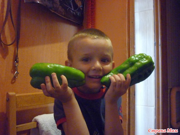 Урожайчик