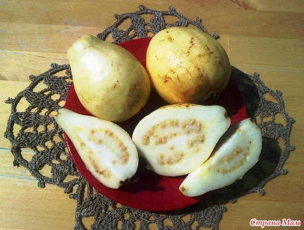 Так вот ты какой, экзотический фрукт!))) Добавляю понемногу новенькое)))
