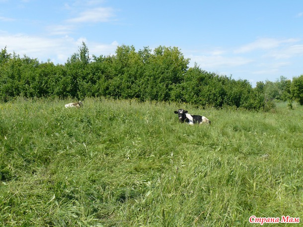 Поездка в Воронежскую область. Весенняя.