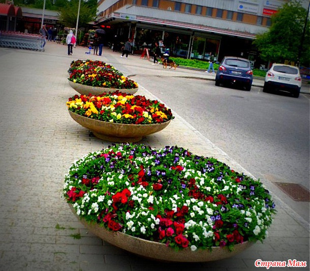 Озеленители работают неустанно