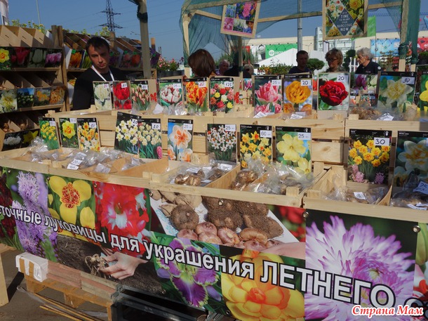 Ярмарка-фестиваль цветов и ландшафтного дизайна в Киеве