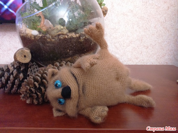 .. Кот лежебок...