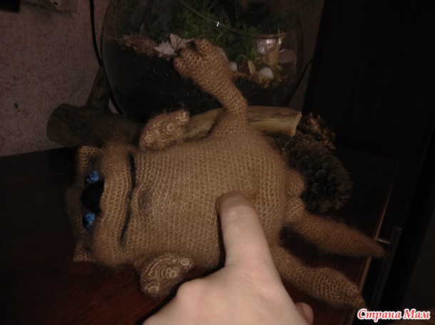 .. Кот лежебок...