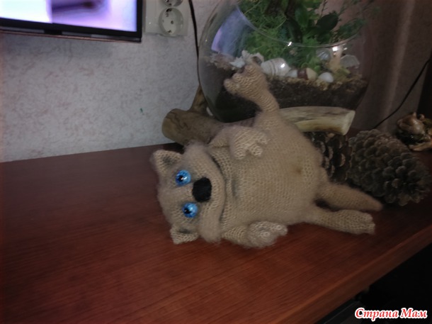 .. Кот лежебок...