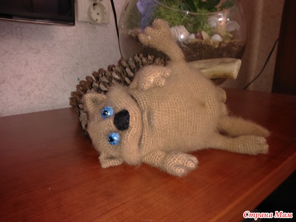 .. Кот лежебок...