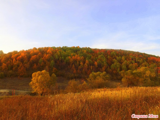 �������� "�����"