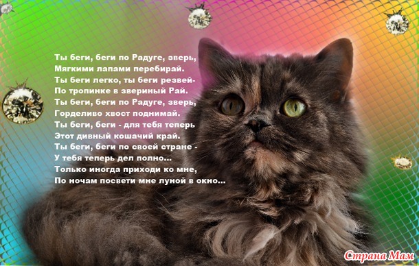 Когда судьба не балует счастьем…