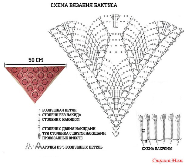 Бактус крючком схема