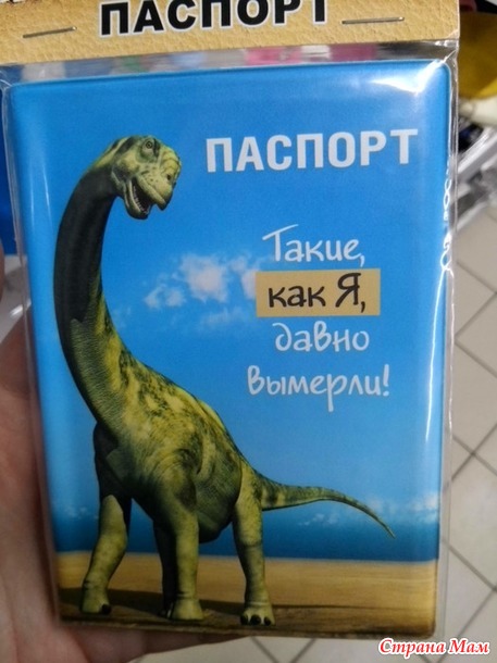 Обложка на паспорт)))