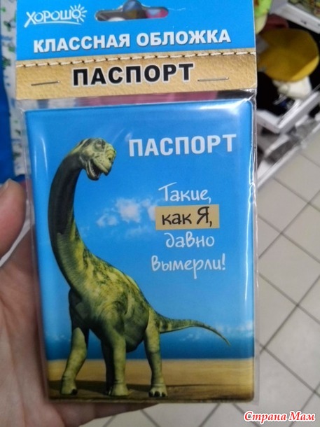 Обложка на паспорт)))