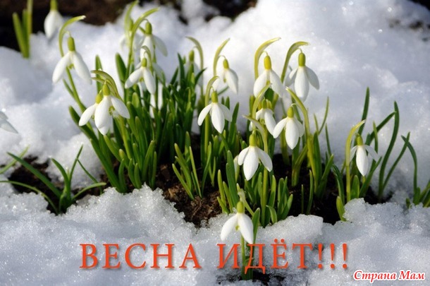 ОТЧЕТ 13 НЕДЕЛЯ!!!