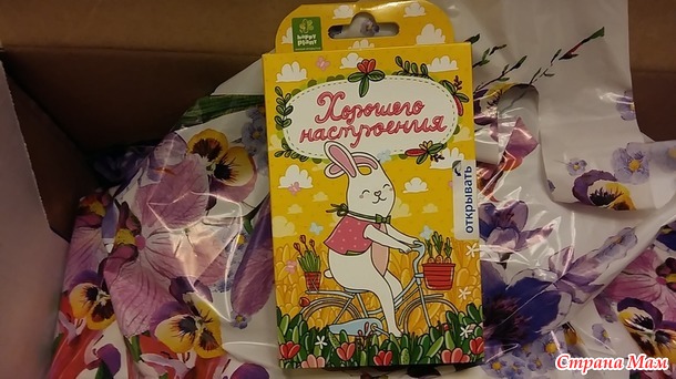 Мой сюрприз в день рождение