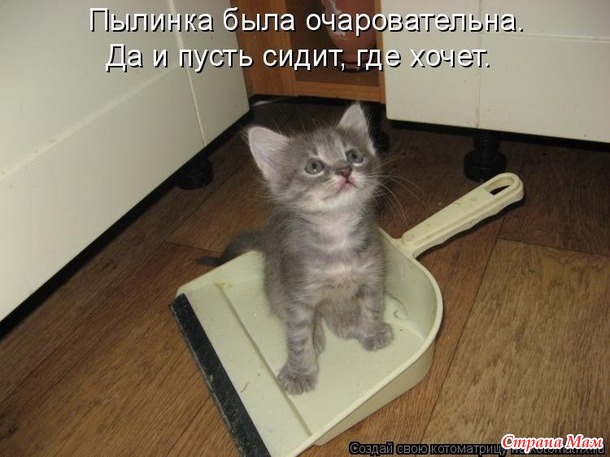 Март. На крыше сидят кот с котихой и орут. Кот: - Я за тебя готов жизнь отдать! Кошка: - Сколько раз?