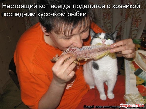 Март. На крыше сидят кот с котихой и орут. Кот: - Я за тебя готов жизнь отдать! Кошка: - Сколько раз?