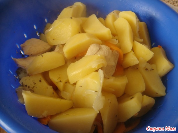 Бланкет из курицы