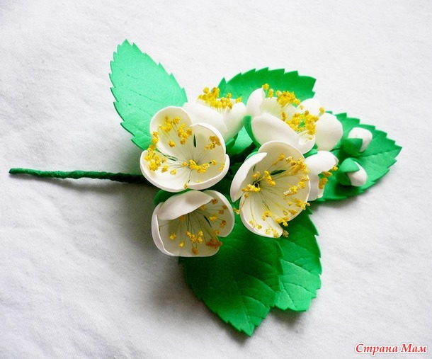 Немножко красоты в мой дневник)