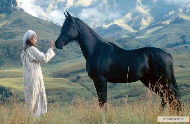   /The Young Black Stallion(2003)