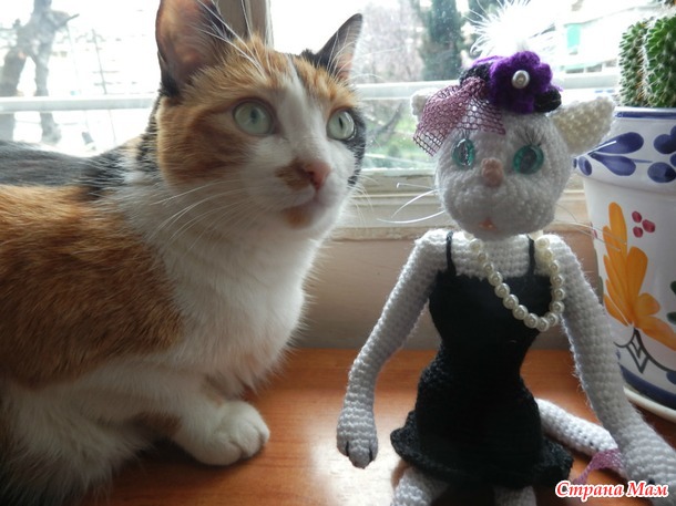 . Кошки бывают разные...
