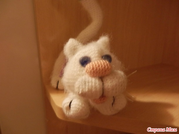 . Кошки бывают разные...