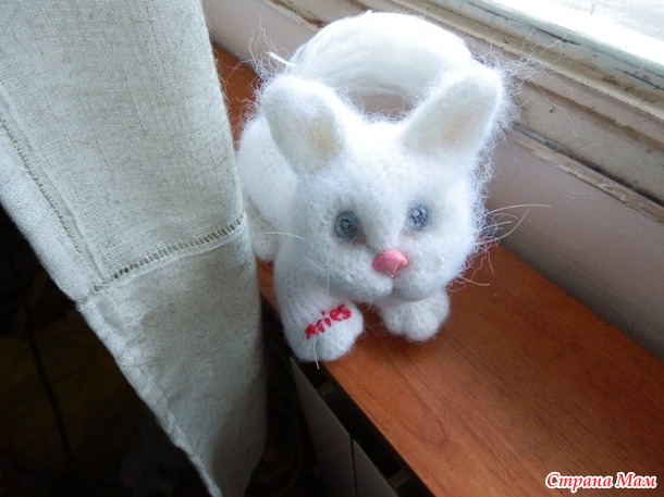 . Кошки бывают разные...