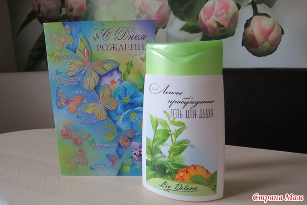 Мой первый отчёт подарок на ДР