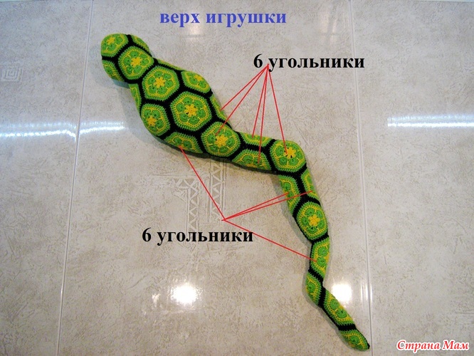 Саламандра бруни крючком схема и описание