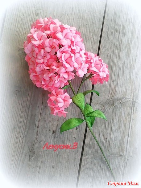 Флокс из корейского фоамирана!