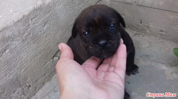 Серые будни и покой нам только снится...