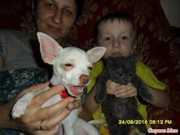 Пополнение в нашей семье)