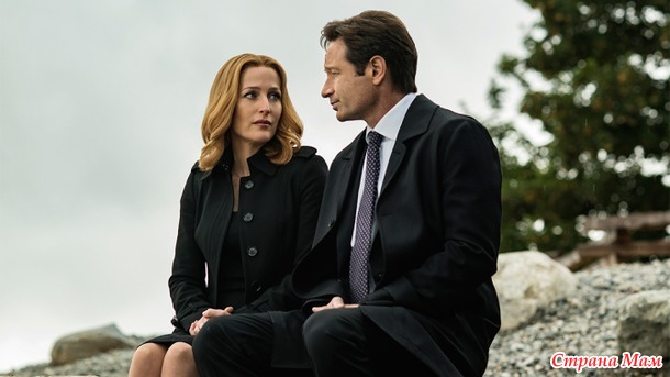     The X- files