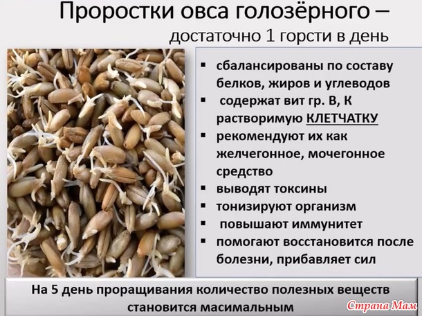11.12.2016 Отчет по марафону №11