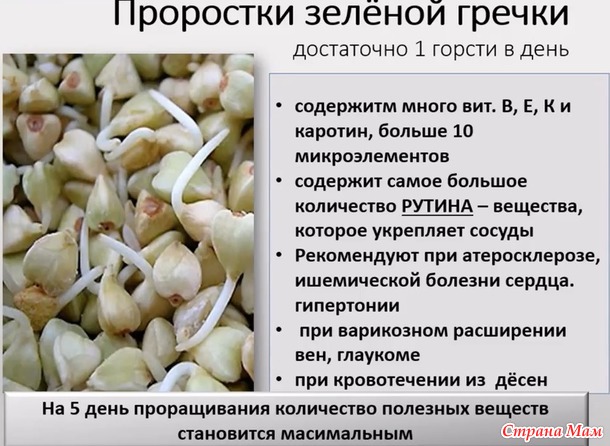11.12.2016 Отчет по марафону №11
