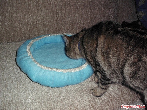 Куфарчик! Новогодний Куфарчик!!! Ура! Ура! Ура! Дополнила фото с котом
