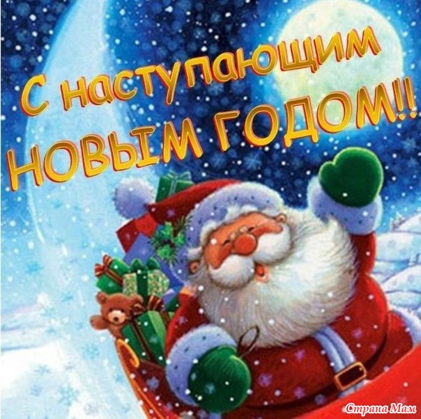 Участников Группы С Новым Годом