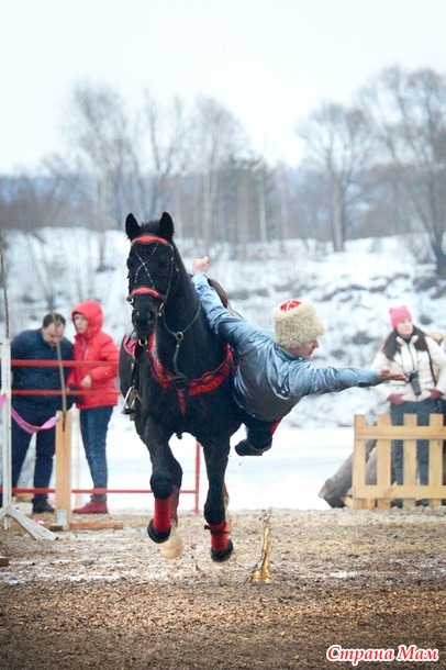 Фото принца на коне