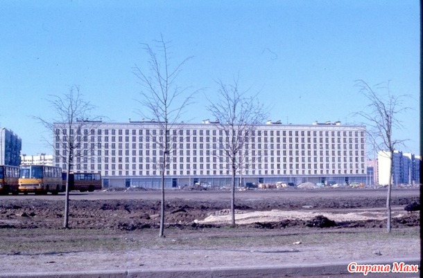  1977 