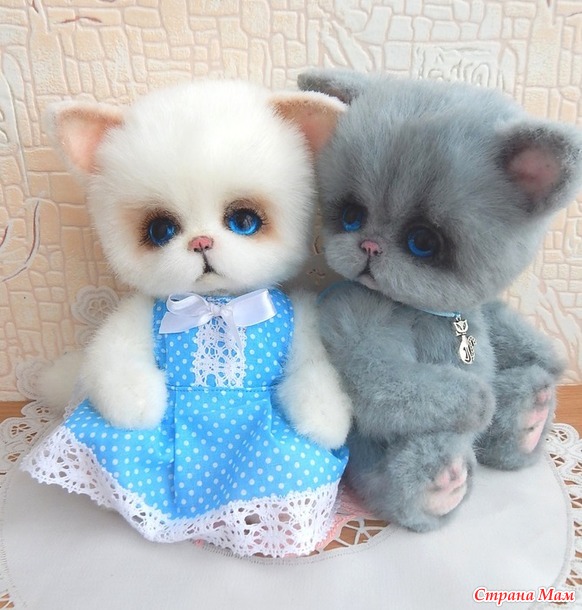 . Котики