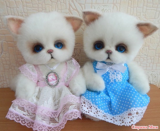 . Котики