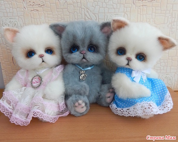 . Котики