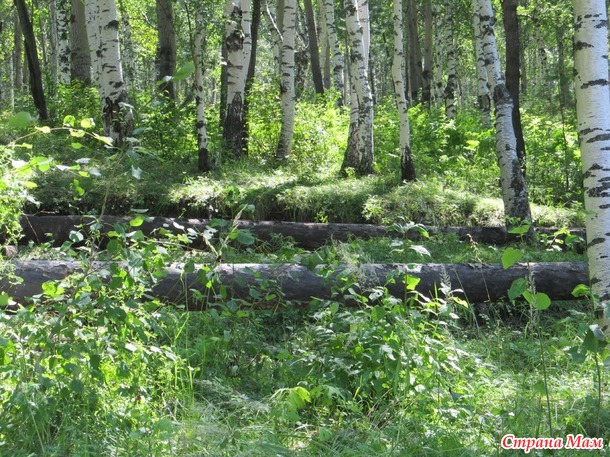 Байкальские зарисовки - 2 Тальцы