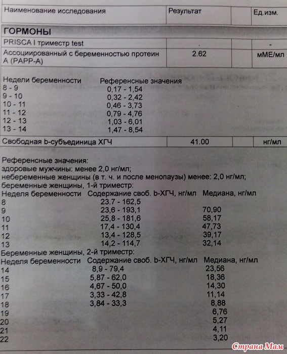 Papp a 12 недель