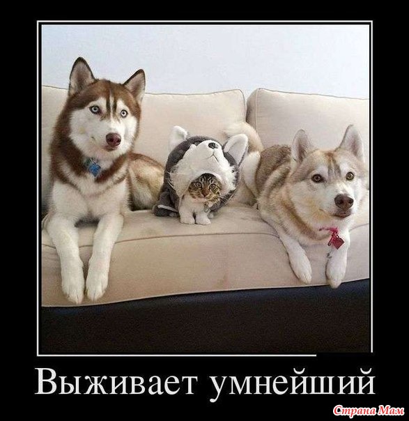 )))