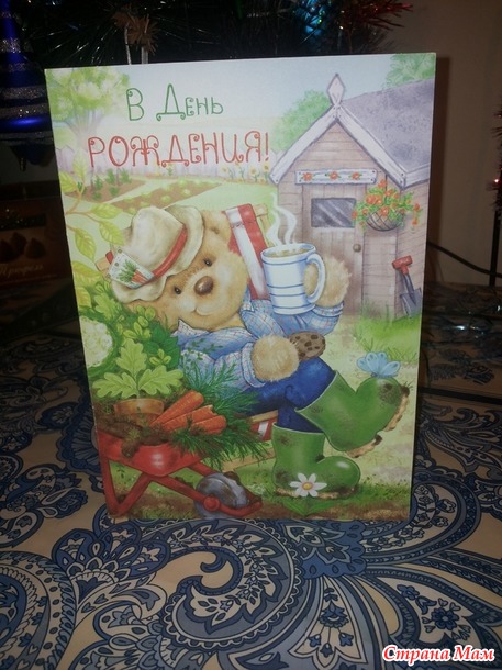 Деньрожденный хваст-отчет))