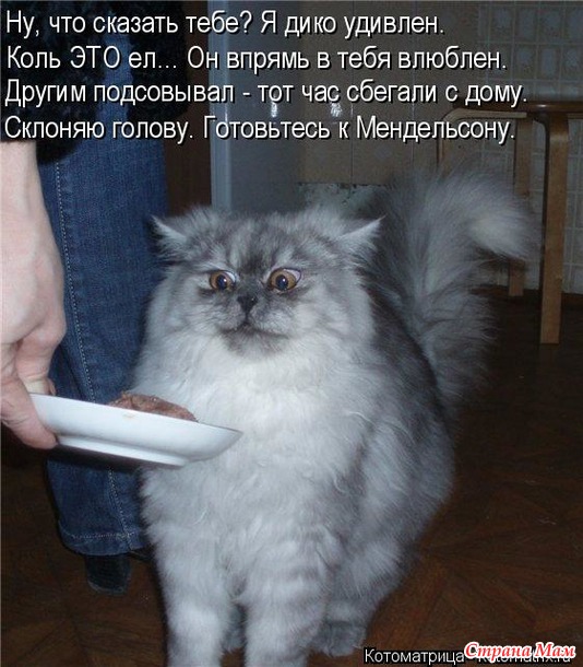 Немного позитива. О коштах с шуткой.