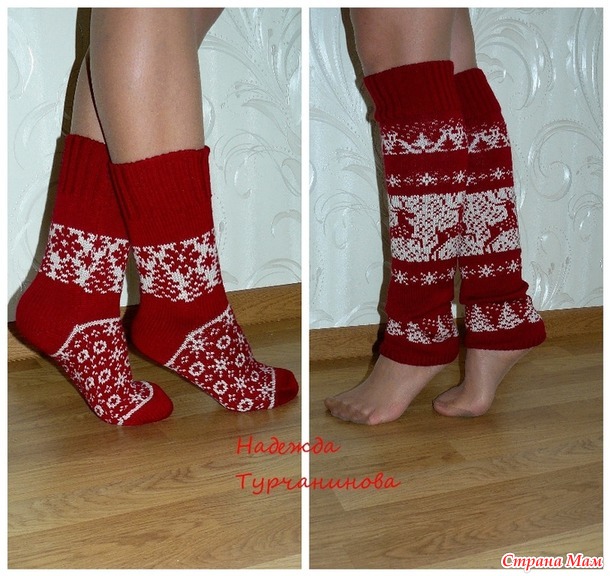 Бабушка, мама, папа, две дочки и 2 собачки))
