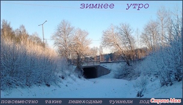Зимняя прогулка по СимбиоСити