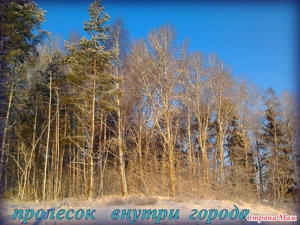 Зимняя прогулка по СимбиоСити