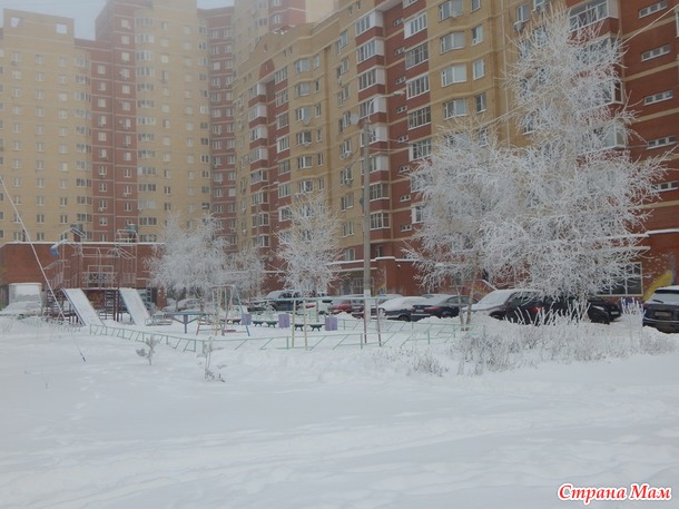 Зимняя красота