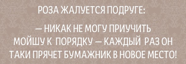 Одесские шутки, пропитанные иронией и оптимизмом